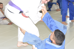 JIU-JITSU JIU-JITSU